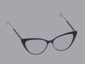 Librarian Glasses Model 3D