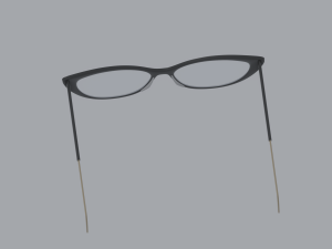 Librarian Glasses Model 3D