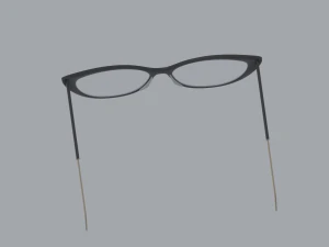 Librarian Glasses 3D Model