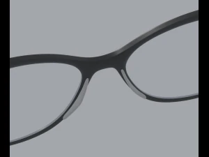 Librarian Glasses 3D Model