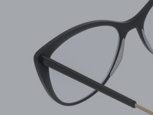 Librarian Glasses Model 3D