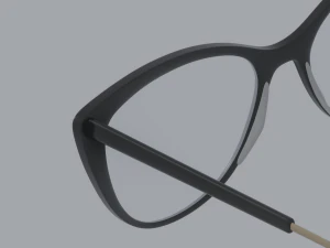 Librarian Glasses 3D Model