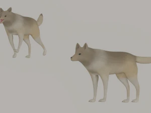Lobo Modelo 3D