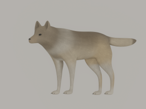 Wolf 3D Модель