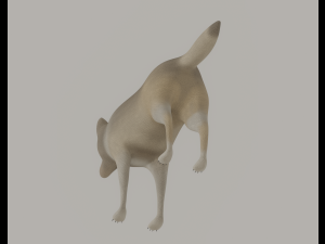 Wolf 3D Модель