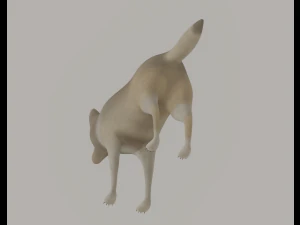 Wolf 3D Model