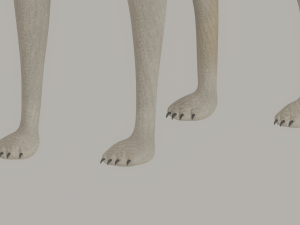 Wolf 3D Модель