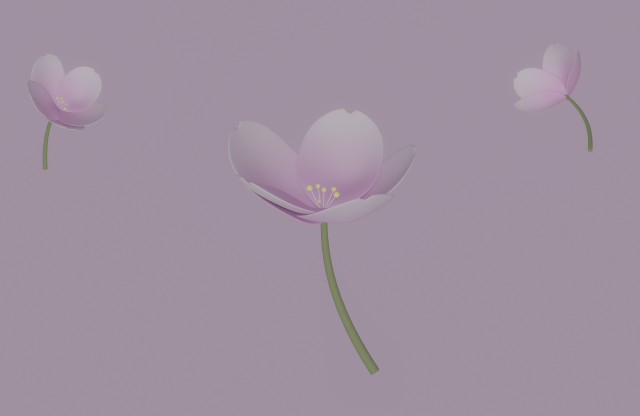 White-Pink Flower Modèle 3D .c4d .max .obj .3ds .fbx .stl .blend 