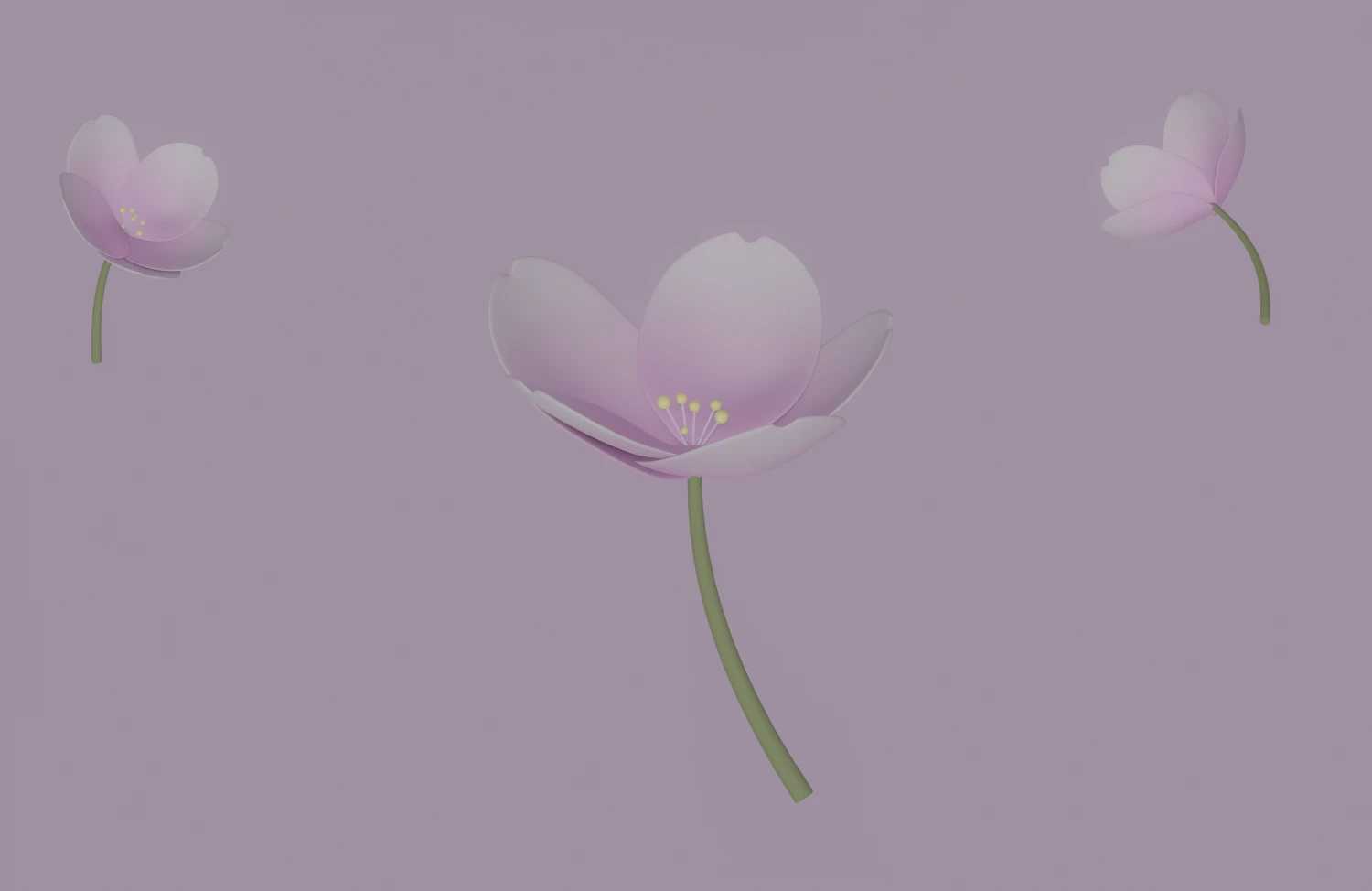 White-Pink Flower 3D Model .c4d .max .obj .3ds .fbx .stl .blend