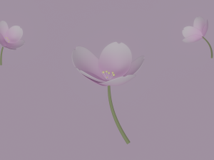 White-Pink Flower 3D Модель