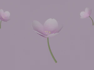 Fiore bianco-rosa Modello 3D