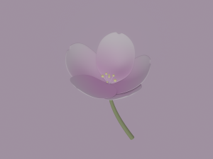 White-Pink Flower Modèle 3D