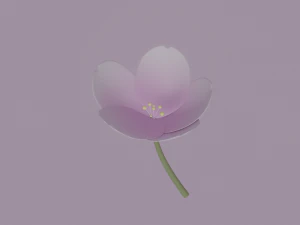 White-Pink Flower 3D Model