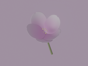 White-Pink Flower Modèle 3D