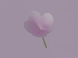 White-Pink Flower 3D Model