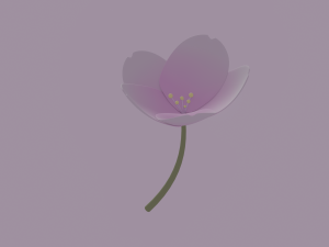 White-Pink Flower Modèle 3D