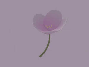 White-Pink Flower 3D Model