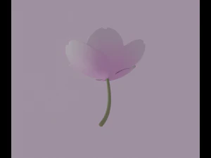 White-Pink Flower 3D Model