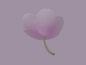 White-Pink Flower Modèle 3D