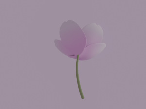 White-Pink Flower Modèle 3D
