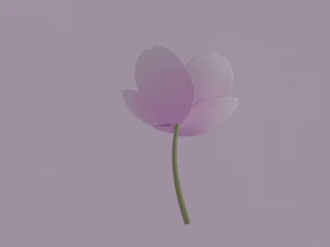 White-Pink Flower 3D Model