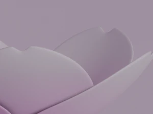 White-Pink Flower 3D Model