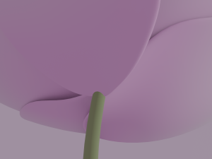 White-Pink Flower Modèle 3D