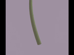 White-Pink Flower 3D Model