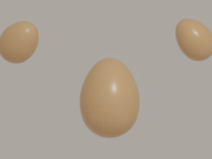 Egg 3D Model