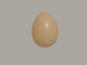 Egg Modèle 3D