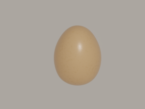 Egg Modèle 3D