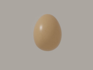 Egg Modèle 3D