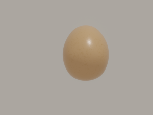 Egg Modèle 3D