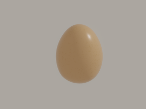 Egg Modèle 3D