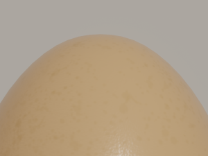 Egg Modèle 3D