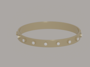 Bracelet 3D Model
