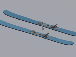 Skis 3D Model
