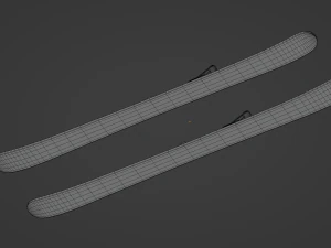 Skis 3D Model