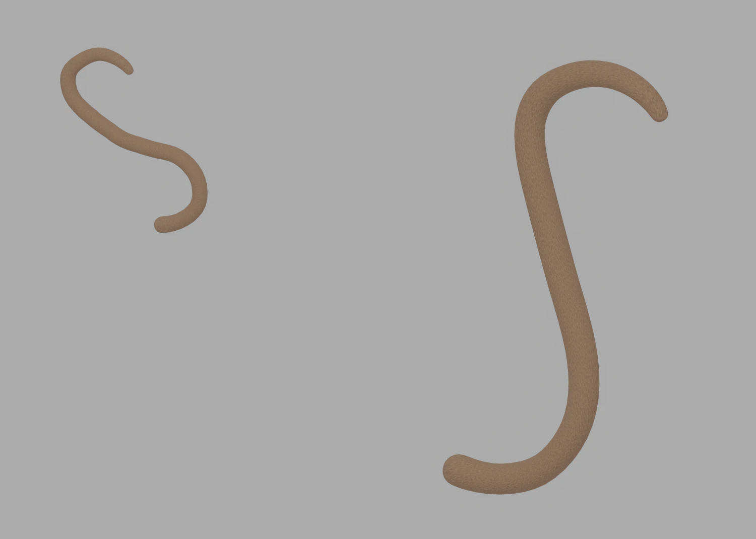 Monkey Tail 3D Model .c4d .max .obj .3ds .fbx .stl .blend 