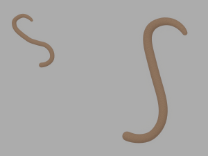 Monkey Tail 3D-Modell