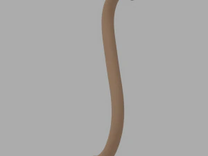 Monkey Tail 3D Model