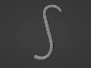 Monkey Tail 3D Model