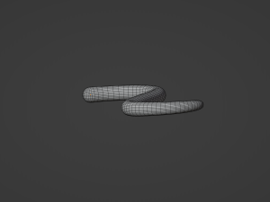 Monkey Tail 3D Модель