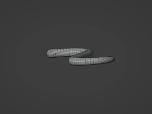 Monkey Tail 3D Model