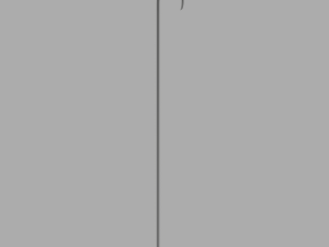 Shoehorn 3D Model