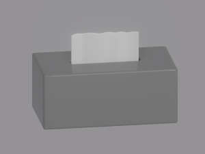 Tissue Box 3D Model