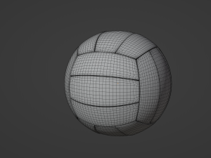 Volley Ball 3D मॉडल