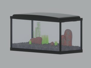 Aquarium Fish Tank Model 3D