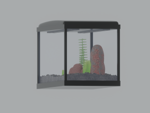 Aquarium Fish Tank Model 3D