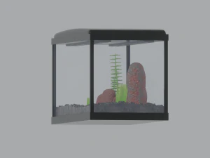 Aquarium Fish Tank 3D Model
